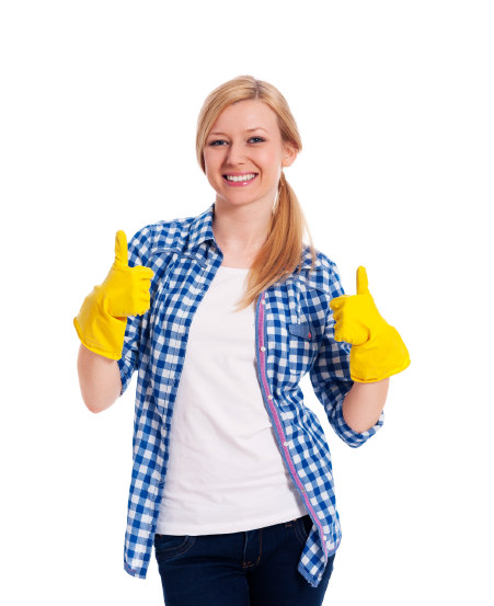 seo cleaning services