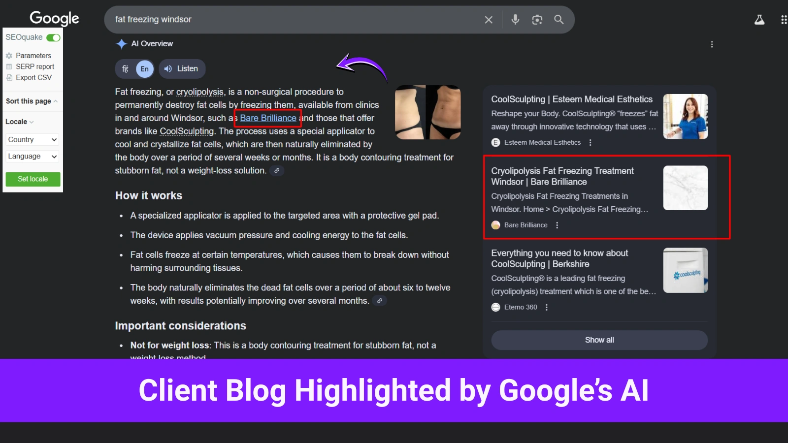 Client Website Featured in Google’s AI Results for Service Keyword